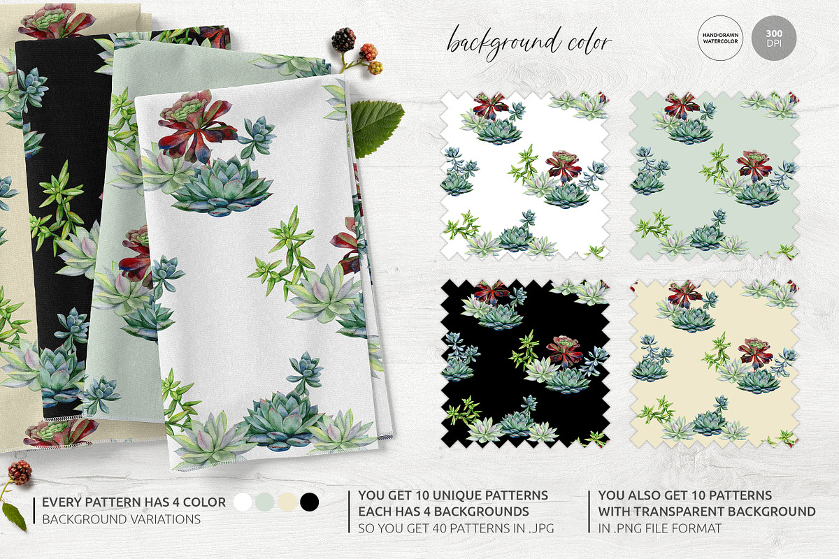 Cacti & Succulents, a Decorative Illustration by Anna Myslivets Art (Photo 6 of 9)