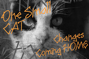 Bloqk Raw Grafitti Font Typeface, a Handwritten Font by ArtiXLabs (Thumbnail 4 of 10)
