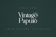 Silver Queen - Serif Typeface, a Serif Font by VP Fonts (Thumbnail 4 of 12)