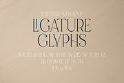 Malinger - Elegant Serif Font, a Serif Font by VP Fonts (Thumbnail 14 of 20)