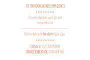 SUNN Pro - Handwriting Font, a Font by Wild Ones (Thumbnail 5 of 5)