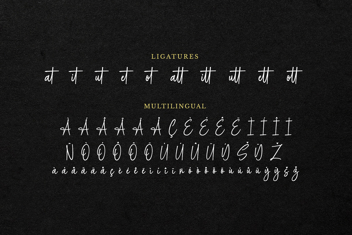 Cattalina Signature Monoline Script, a Handwritten Font by Geelator Studio (Photo 6 of 11)