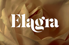 Elagra - Elegant Stencil Serif Font