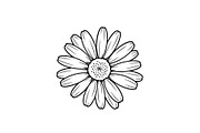 Daisy Flower Line Art Vector Bundle0, an Illustration by jahid234 (Thumbnail 34 of 51)
