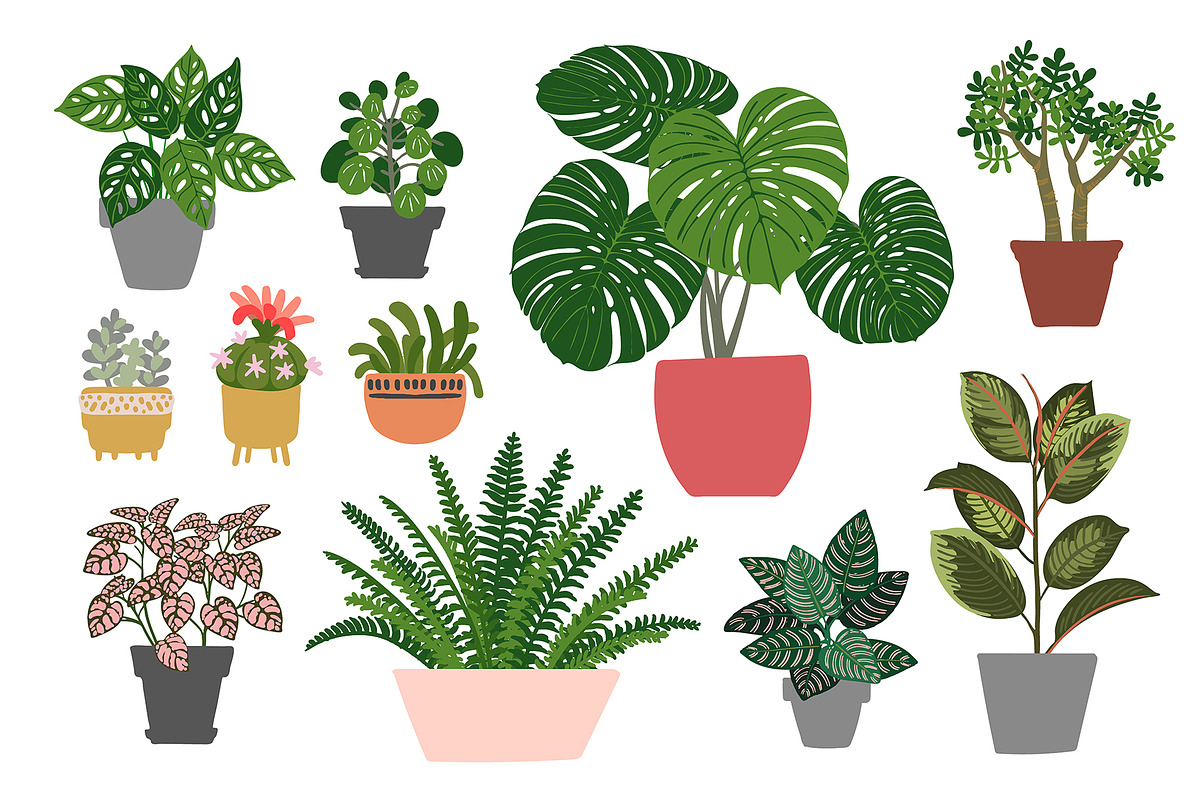 Tropical plants vector., an Illustration by irina.vaneeva (Photo 11 of 15)