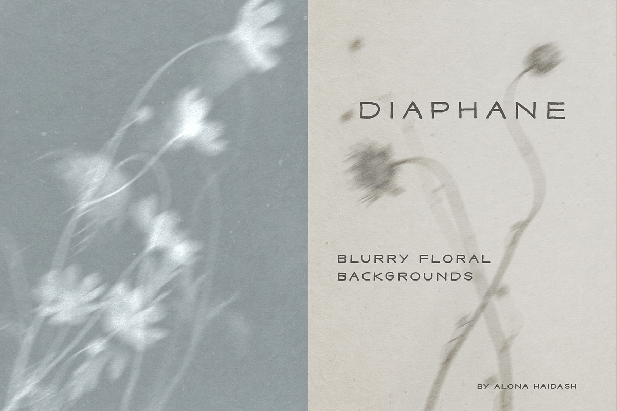 Diaphane - Blurry Floral Backgrounds, a Background Graphic by alonahaidash (Photo 1 of 16)