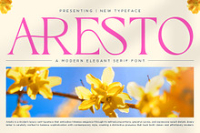 Aresto - Modern Elegant Serif Font