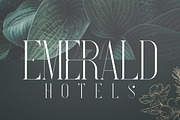 French Typeface - 4 fonts, a Serif Font by VP Fonts (Thumbnail 5 of 9)