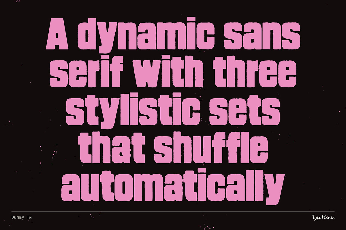 Dummy TM – Bold Distressed Type, a Sans Serif Font by Type Mania (Photo 2 of 10)