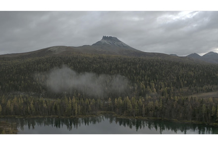 Top view of lake in forest part on, a Nature Photo by Media Whale Stock