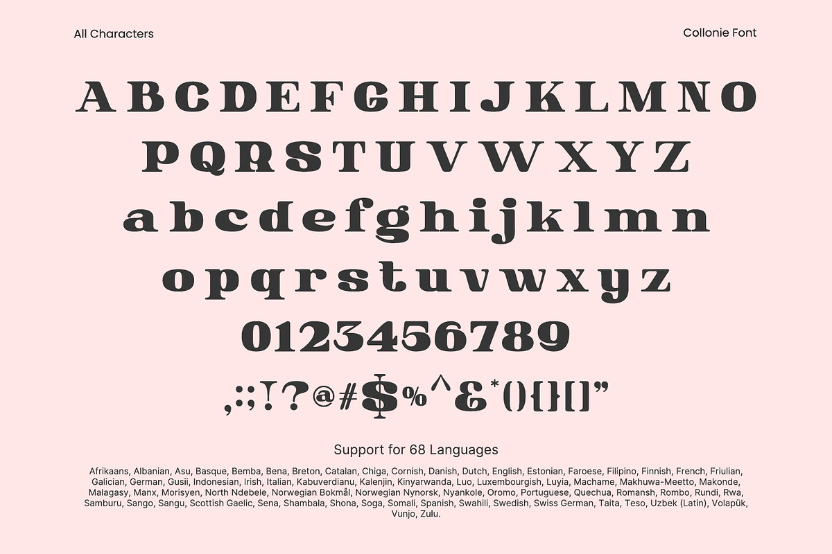 Collonie, a Serif Font by yumnatype (Photo 9 of 10)