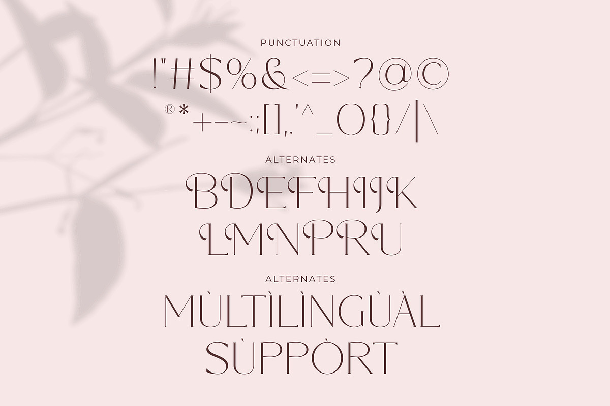 Bandana | Modern And Elegant Serif, a Serif Font by Muflieart (Photo 8 of 9)