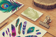 Watercolor Feathers, a Decorative Illustration by RosaPompelmo (Thumbnail 2 of 4)