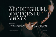 Havko Unique Serif Font, a Serif Font by Perfectype (Thumbnail 8 of 8)
