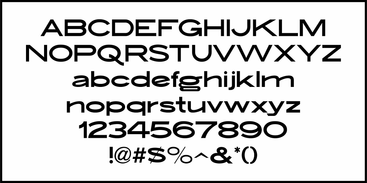 Order Form JNL, a Sans Serif Font by Jeff Levine Fonts (Photo 3 of 5)