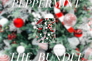 15 Christmas Lightroom Presets, LUTs, a Preset Add-On by TheWayfarerShoppe