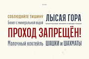 Green Grove // 3 fonts, a Serif Font by True Story Letterworks (Thumbnail 9 of 12)