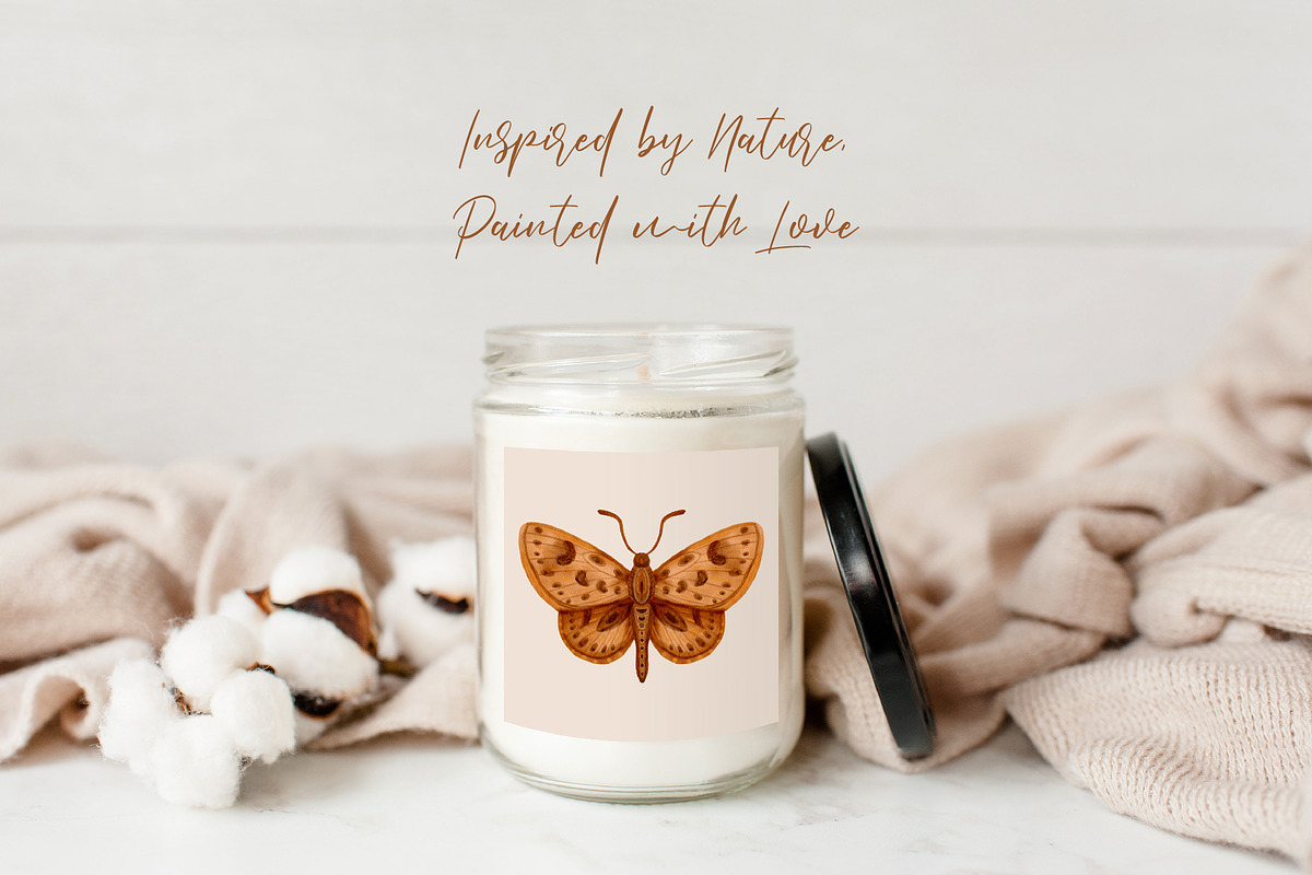 Watercolor Butterflies and Moths, an Object Graphic by Tiger and Flower (Photo 15 of 17)