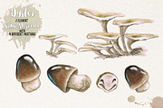 Watercolor Vegetables, Herbs, Green, an Animal Illustration by Graphobia (Thumbnail 7 of 11)