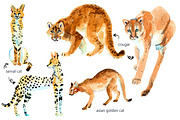 Watercolor WILD cats, an Animal Illustration by Anastasia (Thumbnail 8 of 13)