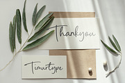 Palms Delight Font, a Script Font by Timurtype (Thumbnail 7 of 7)