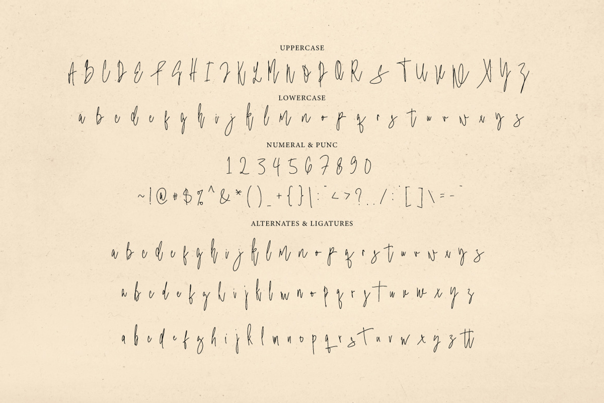 Blistwing - Moniline Signature, a Handwritten Font by tebaltipislab (Photo 11 of 12)