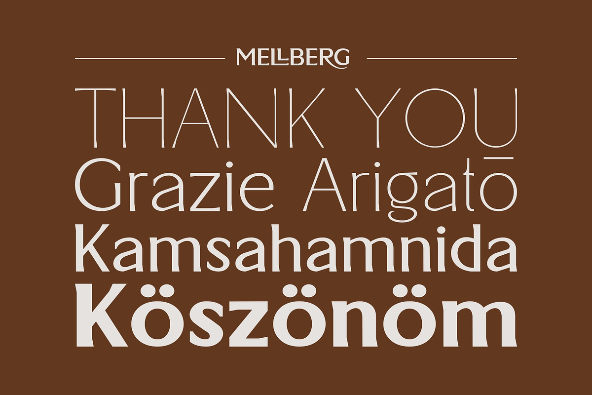 Mellberg, a Serif Font by Eotype Studio (Photo 12 of 12)