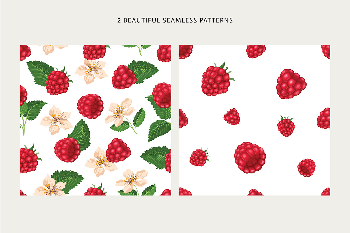 Delicious raspberries vector set, a Graphic by natamastery (Photo 3 of 8)
