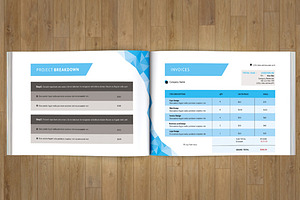 Indesign Business Proposal-V213