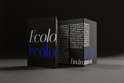 Aleesya Serif Font Family, a Serif Font by Ryul Davidson (Thumbnail 6 of 15)