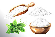 Stevia. Watercolor collection, a Healthcare Illustration by Daria Ustiugova (Thumbnail 4 of 6)