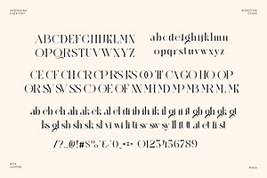 Regkan Elegant Ligature Serif Font T