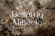 Rachel Sofia - Sans Serif Font, a Sans Serif Font by Artchitype Studio (Thumbnail 10 of 11)
