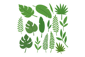 Flat tropical green leaves, an Illustration by GraphiShop