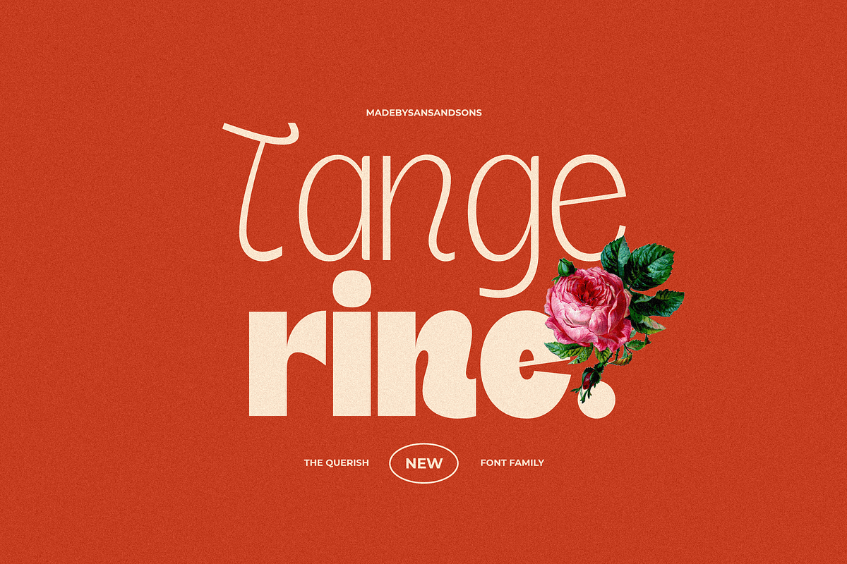 SNS - Querish, a Sans Serif Font by Sans & Sons (Photo 4 of 10)