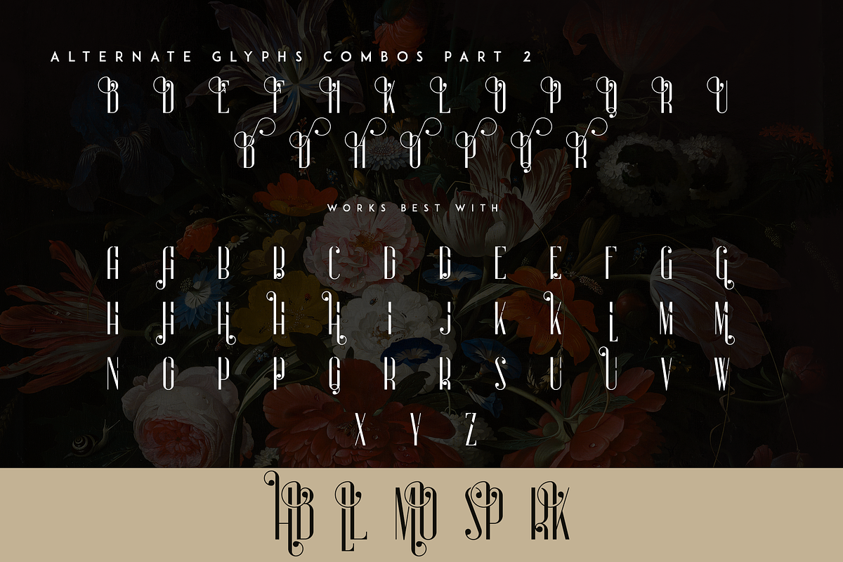 Sorcha Display font + Swashes, a Font by VP Fonts (Photo 13 of 14)