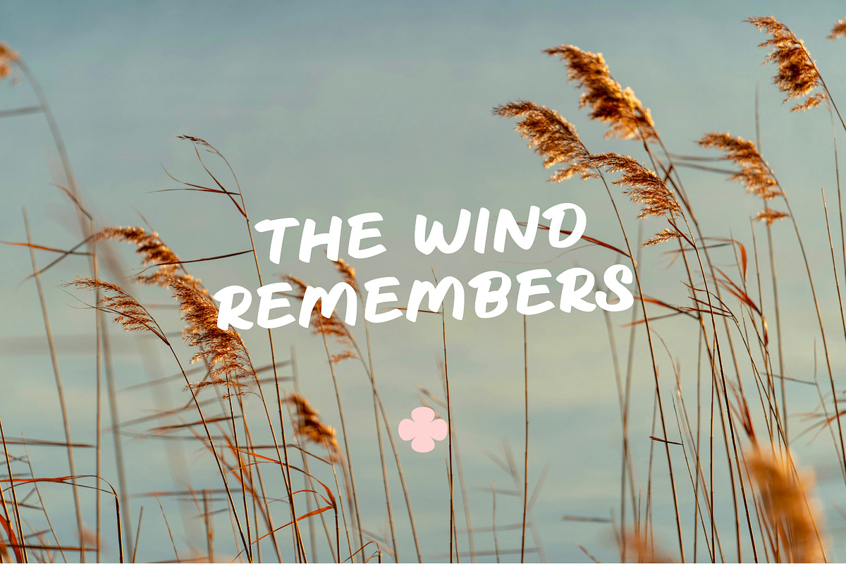 Mira Notes, a Handwritten Font by RanRan & Co. (Photo 8 of 12)