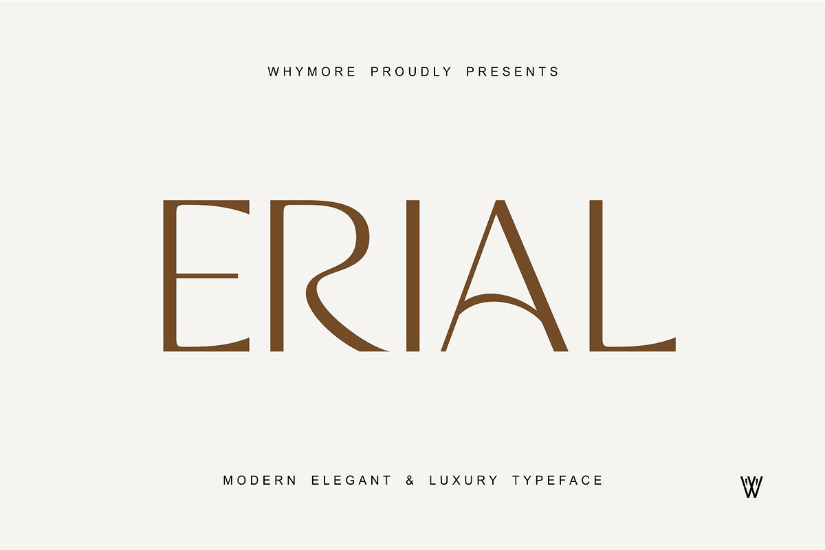 ERIAL | Simple Luxury Serif Font, a Sans Serif Font by WhymoreArt (Photo 1 of 11)