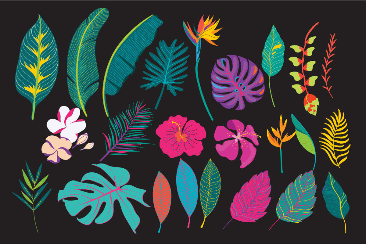 Fancy Tropical flower and leaf, a Decorative Illustration by MooBeer (Photo 2 of 10)