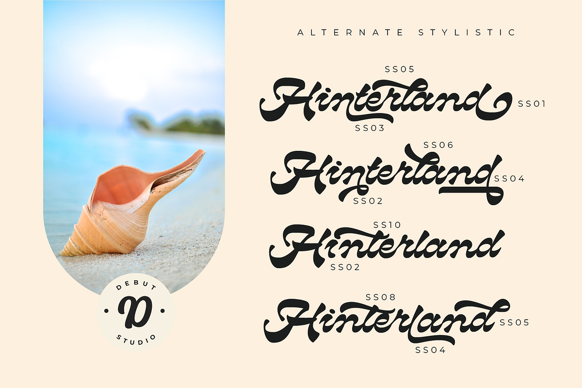Hinterland | Reverse Contrast Script, a Script Font by Debut Studio (Photo 4 of 13)