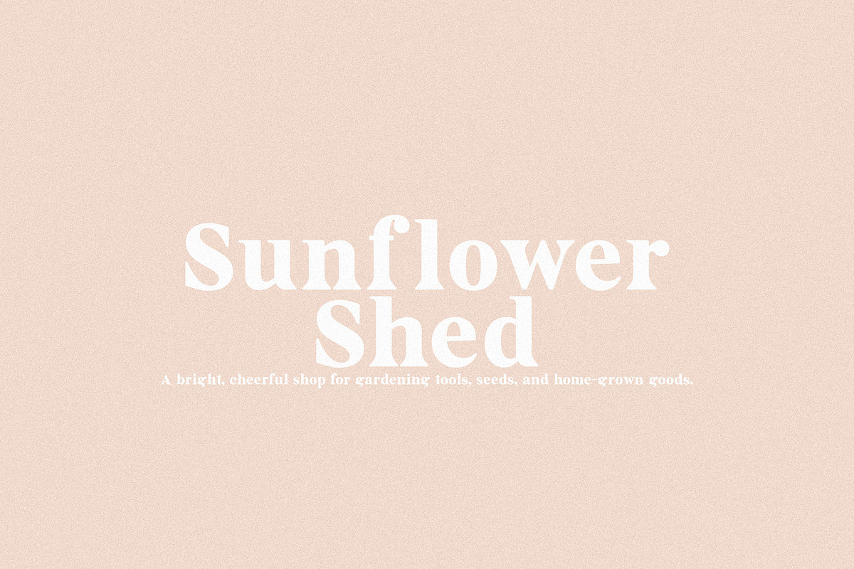 Bourbon - Vintage Serif, a Serif Font by Schrifted Type (Photo 2 of 8)
