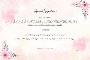 Anisa Signature Script Font