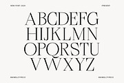 Begalia Serif - Elegant Typeface, a Serif Font by InkwellTypeCo (Thumbnail 14 of 14)
