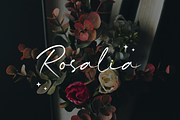 Marquisette Classy Serif Font, a Serif Font by UICreative (Thumbnail 5 of 11)