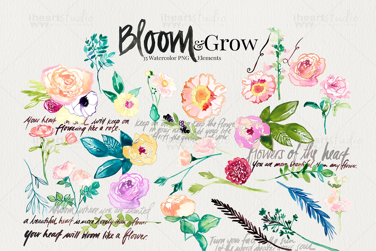 Bloom & Grow Watercolors, an Illustration by iHeartStudio (Photo 3 of 3)