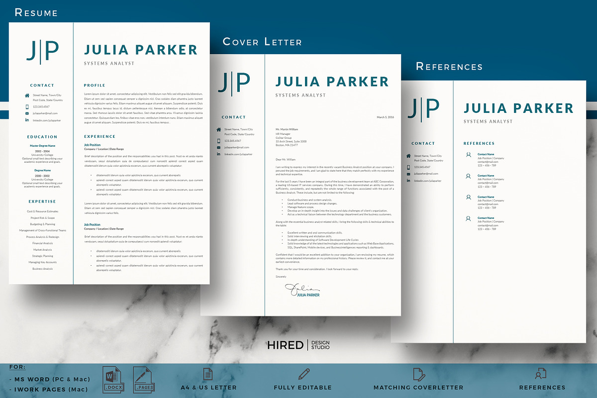Systems Analyst Professional Resume preview 4