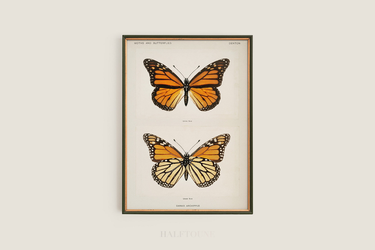 Vintage Frame Mockup, a Product Mockup by HALFTOUNE (Photo 2 of 10)