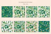 INDOOR PLANTS watercolor clipart set, a Decorative Illustration by MariArtySpace (Thumbnail 6 of 8)