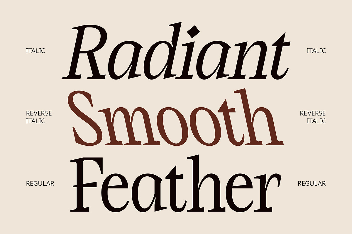 CS Brinley – Classic Font, a Serif Font by Craft Supply Co. (Photo 7 of 8)