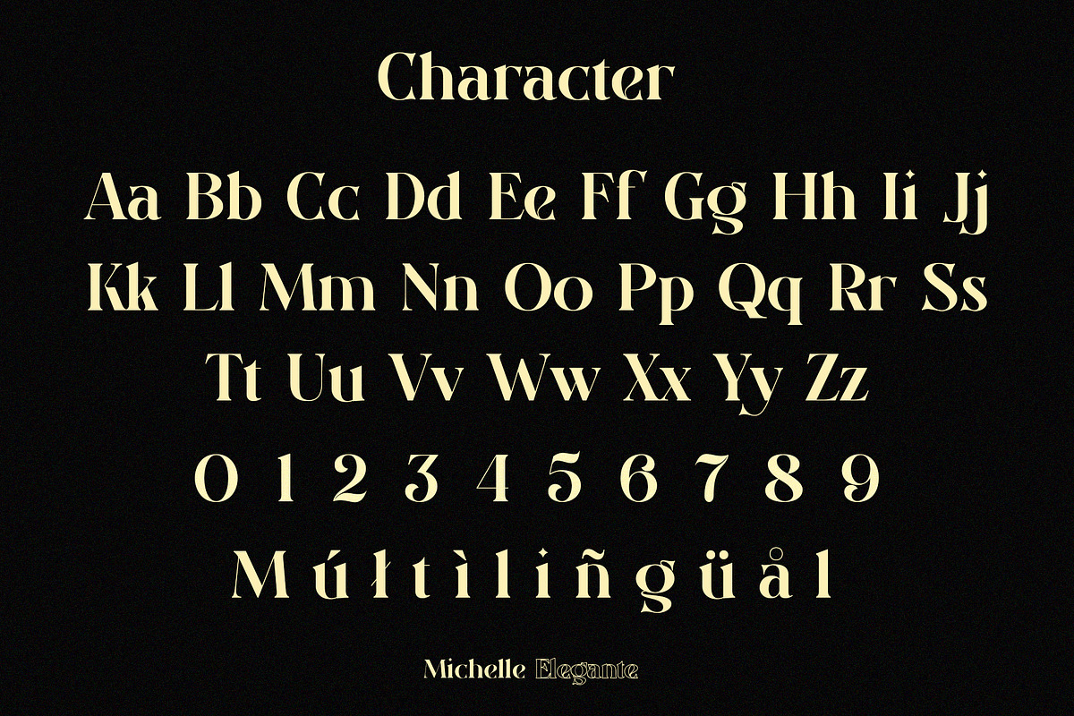 Michelle Elegante, a Serif Font by INKSUN™ (Photo 8 of 10)